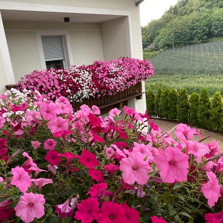 Hotel Garni San Paolo Eppan an der Weinstraße Exterior foto